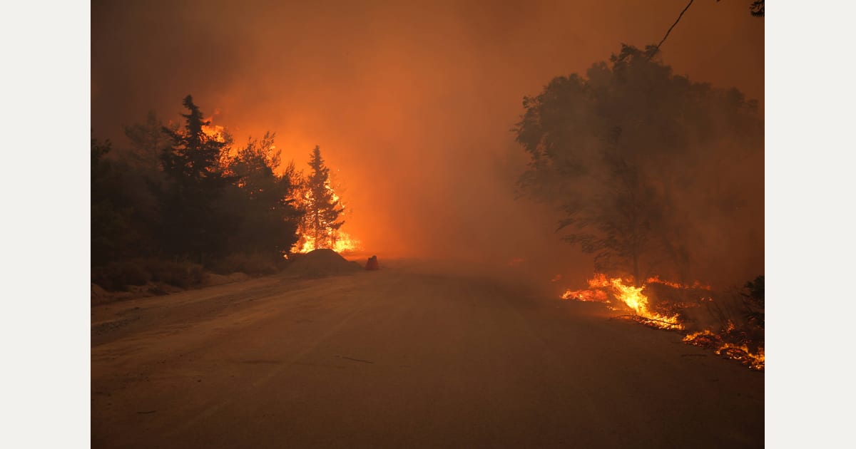 Το αποτύπωμα της πυρκαγιάς στην Πεντέλη το 2024 – Μεγάλη έρευνα του ΕΚΠΑ