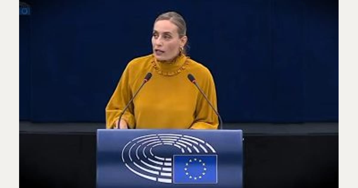 Τι φταίει η Ελεονόρα Μελέτη; Μόνη της βρέθηκε στην Ευρωβουλή;