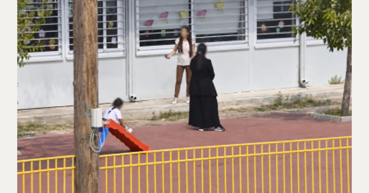 Βίντεο: Ρομά ξυλοκοπά τη νηπιαγωγό στα Άνω Λιόσια – «Μην με χτυπάτε άλλο»!