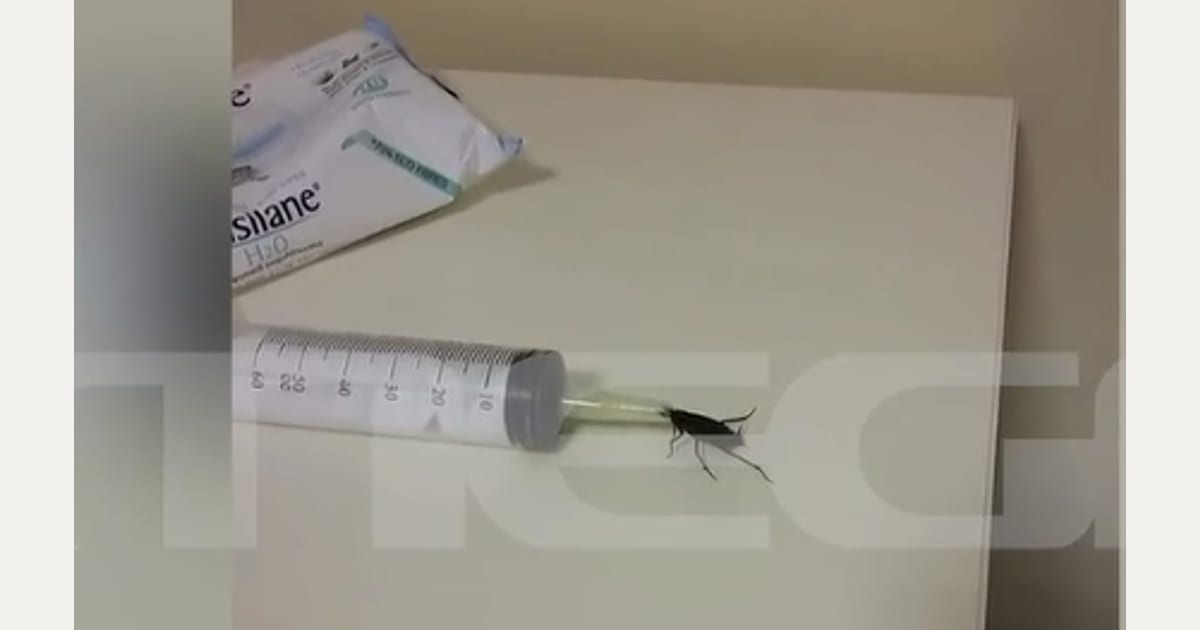 Νέα στοιχεία για την ιδιωτική κλινική στη Θεσσαλονίκη: Μουχλιασμένα φαγητά και κατσαρίδες στον χώρο