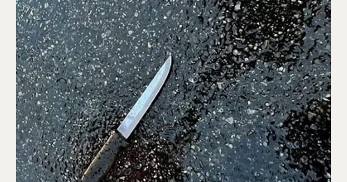Σικάγο: Γυναίκα πλησίασε 7χρονη στον δρόμο και τη μαχαίρωσε πισώπλατα μέχρι θανάτου! (βίντεο)