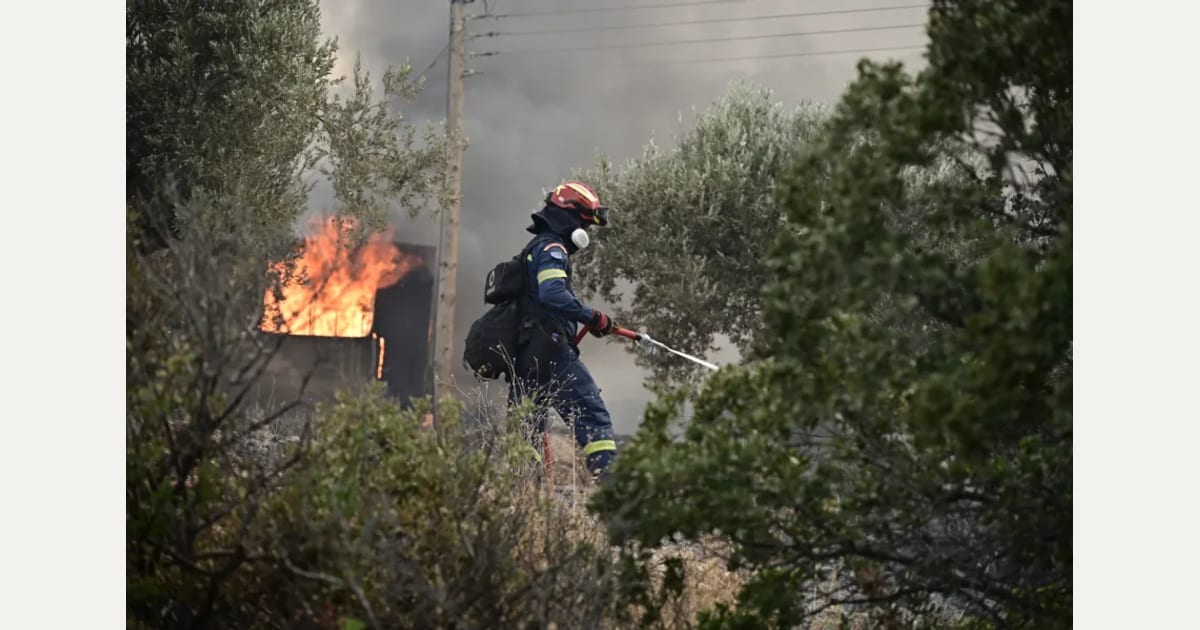Πυρκαγιά σε δασική έκταση της Ρούσας Σουφλίου – Η φωτιά πέρασε από τη Βουλγαρία